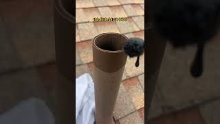 STOP rat proofing your vents like thisDO this instead rodent homeownership plumbing [upl. by Charlena]