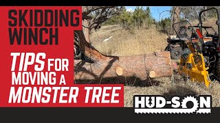 Tips for moving a monster tree with a Skidding Winch from Hudson [upl. by Janeczka821]