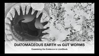 DIATOMACEOUS EARTH vs GUT WORMS Comparing the Evidence  Sez the Vet [upl. by Benoite]