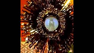 Miracle Eucharist our holy lady appears celebrating mass in Brentwood California Oct 13th 2023 [upl. by Ykcim]