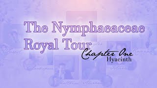 The Nymphaeaceae Royal Tour Chapter One Hyacinth [upl. by Ixel717]