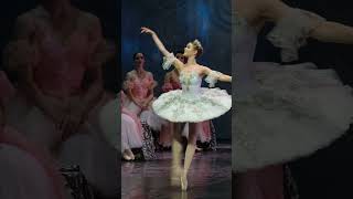 classical Russian ballet The Nutcracker [upl. by Sokram]