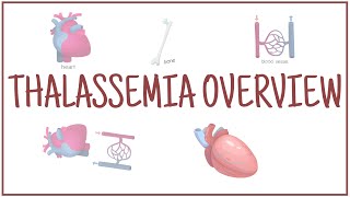 Understand the Overview Of THALASSEMIA✨ Made EASY✍🏽 [upl. by Titania]