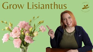 Growing Lisianthus from seed All you need to know [upl. by Tabshey]