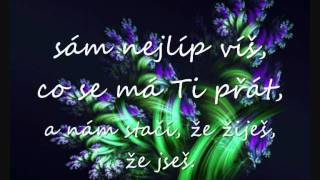 Nedvědi  Všechno nejlepší lyrics [upl. by Nonarb]