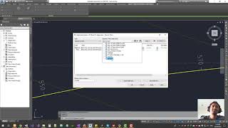 Civil3D Alignment Label Customization [upl. by Valentino986]