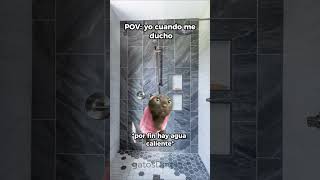 POV yo cuando me ducho  humor gatos memes shorts [upl. by Boff]