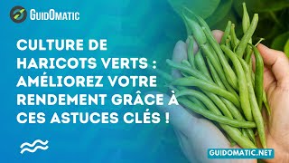 👉 Culture de haricots verts  améliorez votre rendement grâce à ces astuces clés [upl. by Sefton]