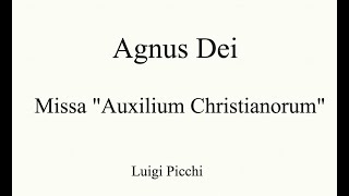 Missa quotAuxilium Christianorumquot  AGNUS DEI  Luigi Picchi  tutorial corale  voce 2 [upl. by Hogarth930]