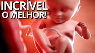 SOM DO ÚTERO PARA RECÉM NASCIDO  Música Para Bebê Ouvir e Mexer na Barriga da Mãe [upl. by Aciram]