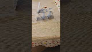 Mini card house can you build card house shorts [upl. by Odlabso]