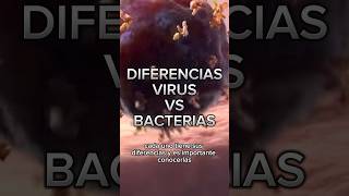 Virus VS bacterias medicina laboratorio enfermeria aprender biologia virus bacteria fyp [upl. by Ahsiket]