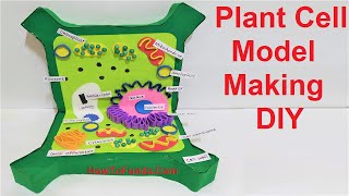 plant cell 3d model making using cardboard  DIY  science project  howtofunda [upl. by Erinn]