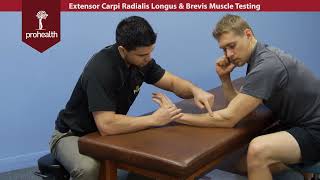 Extensor Carpi Radialis Longus amp Brevis Muscle Test Palp Dr Vizniak Muscle Manual [upl. by Enicnarf373]