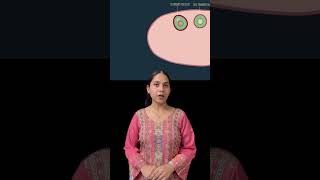 Oogenesis  Part 2 biology onlineclasses science cbse class11 class12 [upl. by Benny995]