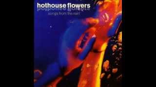 Hothouse Flowers  This Is It Your Soul [upl. by Mandler995]