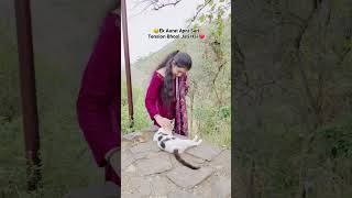 Fikar Song ❤️  Neha Kakkar  Rahat Fateh Ali Khan shorts punjabisong husbandlove cat catlover [upl. by Aneehsor]