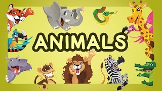 Teaching Animals Video for Toddlers  Animals Names For Children  English Learn Animals With Names [upl. by Salohci]