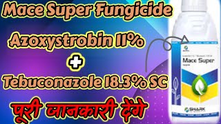 Mace Super Fungicide Azoxystrobin 11 Tebuconazole 183 SC Full Details 👈😱🇮🇳👍🙏 [upl. by Yanej]