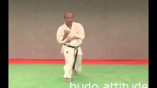 Karaté Wado Ryu  Kata Pinan Godan Hiroji Fukazawa Sensei présenté par Budo Attitude [upl. by Ettelloc]