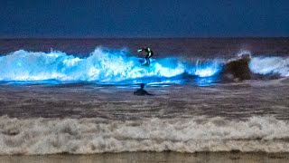 Unbelievable Bioluminescent Beach California [upl. by Jacy]