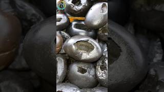 Shaligram  sri yoga laxmi narsimha shaligram shila  gandaki shaligram 💐shorts short shortsfeed [upl. by Nari]