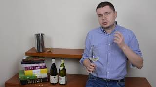 12  Chablis vs PouillyFuissé  BURGUNDIA  NASZ ŚWIAT WIN [upl. by Asiul]