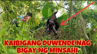 kaibigang duwende may binigay na minsahi  DYOLEIKSTV [upl. by Borchert]