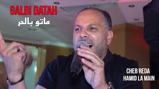 Cheb Reda 2024  Galbi Datah ماتو بالحر ©️ Avec Hamid La Main Live Mariage [upl. by Gurango]