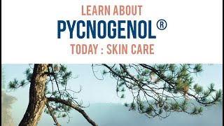 Pycnogenol® for Skin Care  Animated Infographic [upl. by Windsor]