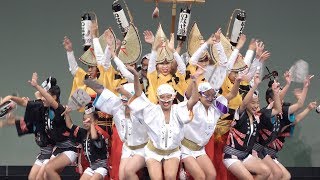 全国阿波おどりコンテスト準優勝「いなせ連」秋の阿波おどり（2017115） [upl. by Nnairda]