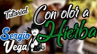 Con Olor A Hierba  Sergio Vega Tutorial [upl. by Scully]