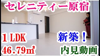 セレニティー原宿 １LDK 4679㎡ 新築 内見動画 [upl. by Gudrin865]