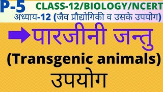 CLASS12C12PART5 पारजीनी जन्तु Transgenic animal पारजीनी जन्तुओं का महत्वउपयोगिता। [upl. by Charlotte620]