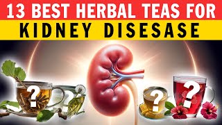 13 Best Herbal Teas for Kidney Disease [upl. by Akla79]