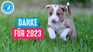 Deutscher Tierschutzbund eV  Danke für 2023 [upl. by Ennaimaj]