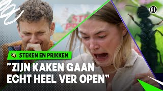 BIJTENDE STINKKEVER RUIKT NAAR ZWEETSOKKEN 🤢  Steken en Prikken  S4 9 NPO Zapp [upl. by Jobye]