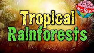 What are tropical rainforests [upl. by Yttik]