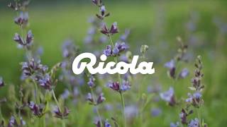 Commercial  AE  RICOLA [upl. by Boone506]