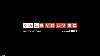 KalOnline  Evolved Private Server  Open Beta  Part 4 [upl. by Nelli]