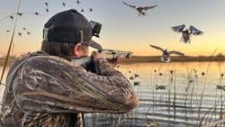 Duck hunting in in pakistan مرغابی کا شکار  Duck hunting  duckhunting [upl. by Gray891]