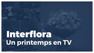 Interflora  un printemps en TV [upl. by Akemor383]