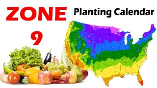 Zone 9 Planting Calendar  Guide to Successful Gardening in Zone 9 [upl. by Steel463]