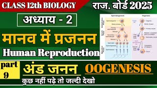 oogenesis L  9   Human Reproduction System  Class 12th NEET Biology by Naveen kumar sir [upl. by Naillimxam]