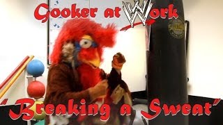 quotThe Gobbledy Gooker Goes to Workquot Episode 3 Workout [upl. by Lakim253]