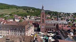 Die Stiftskirche in Neustadt – Himmel auf Erden  SWR Fernsehen [upl. by Heigho995]