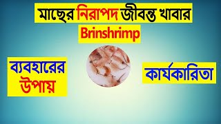 সহজে ব্রাইনশ্রিম্প ডিম ফুটানো ও ব্যবহার। how to hatch brine shrimp eggs the easiest way [upl. by Castera809]