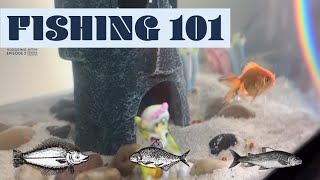 VLOG 2 X HELPING OUT MY ORANDA FISH [upl. by Jat]