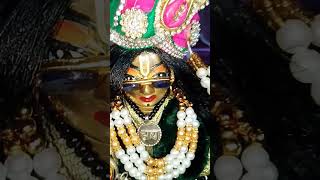 jiske sir upar tu swami so dukh kaisa paave 🙏 laddu gopal short video [upl. by Antonina]