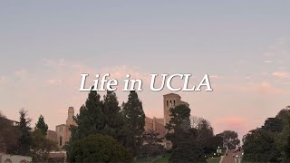 미국 UCLA 유학생 vlog  EP7 낭만이라곤 찾아볼 수 없는 현실 100 유학생 일상 [upl. by Kannan]